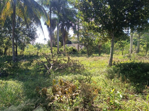 JARDIN DEPORTIVO CABARETE