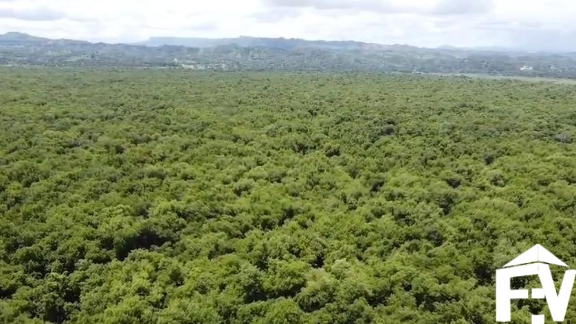 TIERRA GASPAR HERNANDEZ TIERRA GASPAR HERNANDEZ