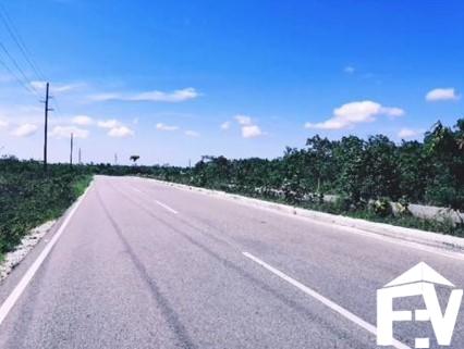 VERON BAVARO VERON BAVARO