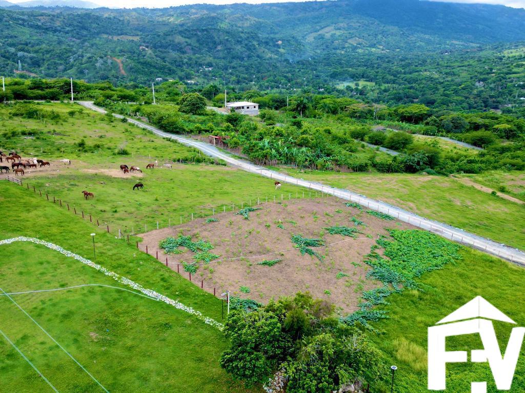 WhatsApp Image 2026-03-04 at 9.15.34 PM (1)