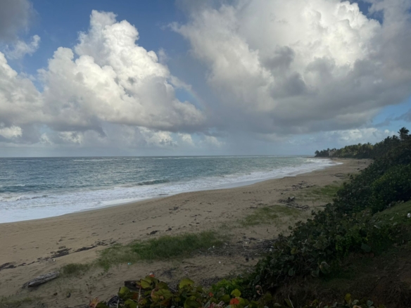 TERRENO EN CABARETE